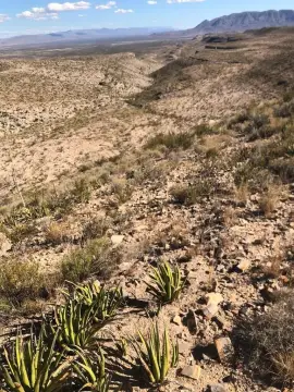 Unrestricted Hunting Land with Mountain Views