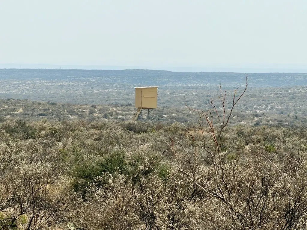 Picture 22