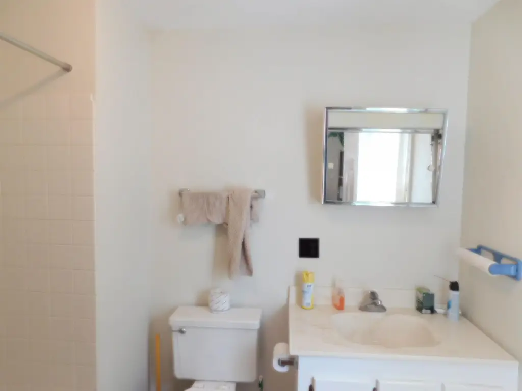 Picture 15