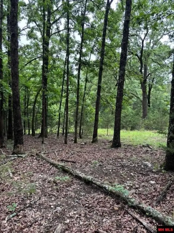 Picture 12