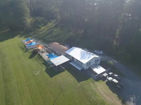 Successful Doggie Daycare Business Opportunity