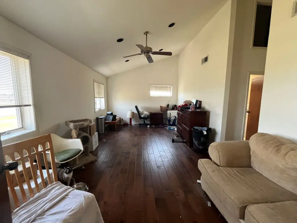 Picture 14