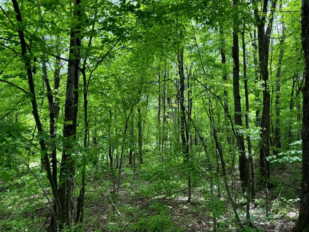 Picture 6