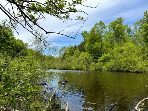 Florence, NY Vacant Land