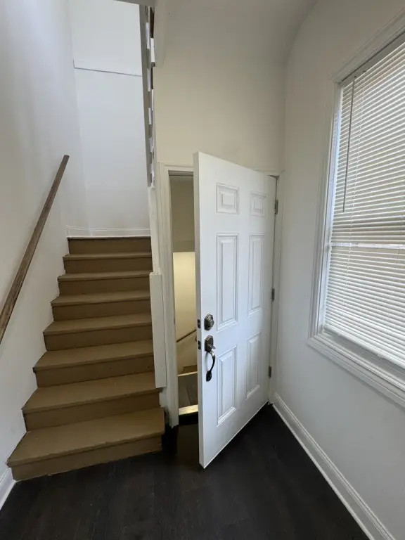 Picture 7