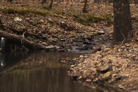 Mena, AR Mountain Recreation Tract