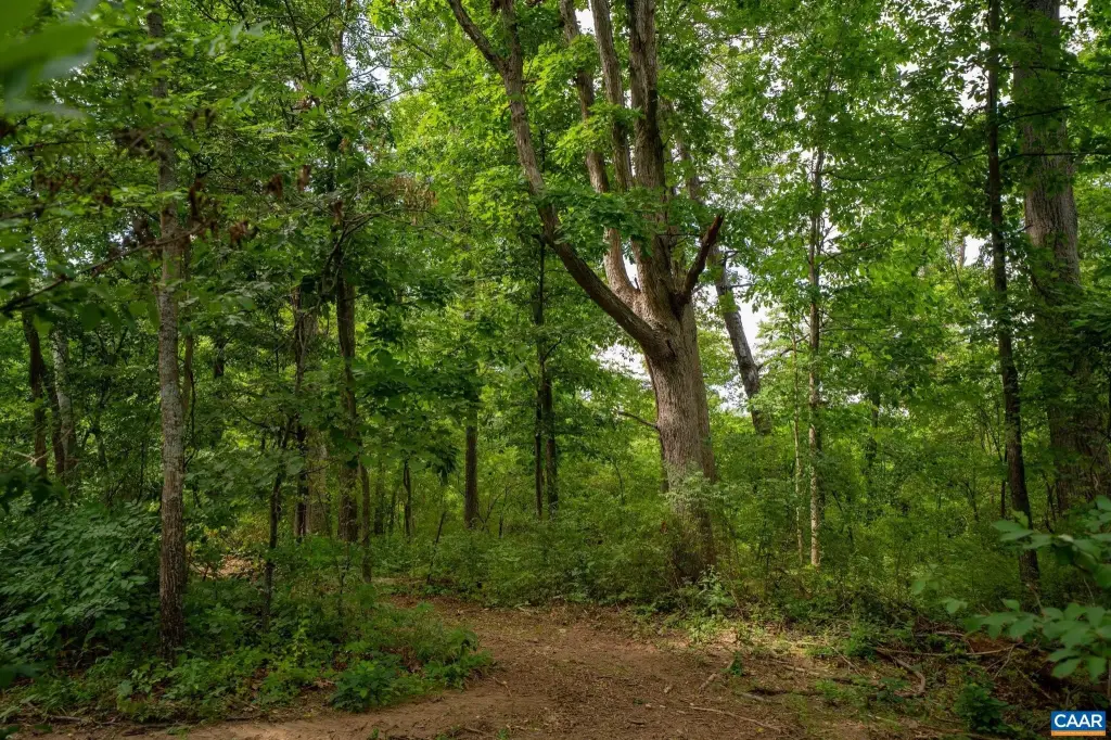 Picture 28