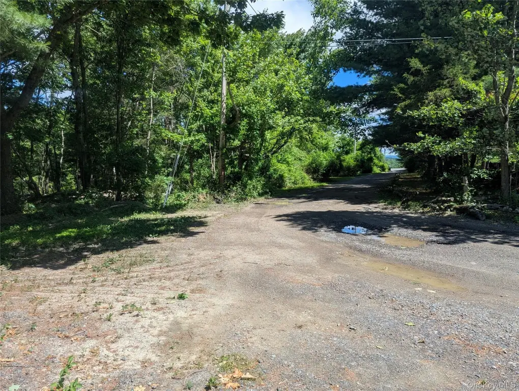 Picture 20