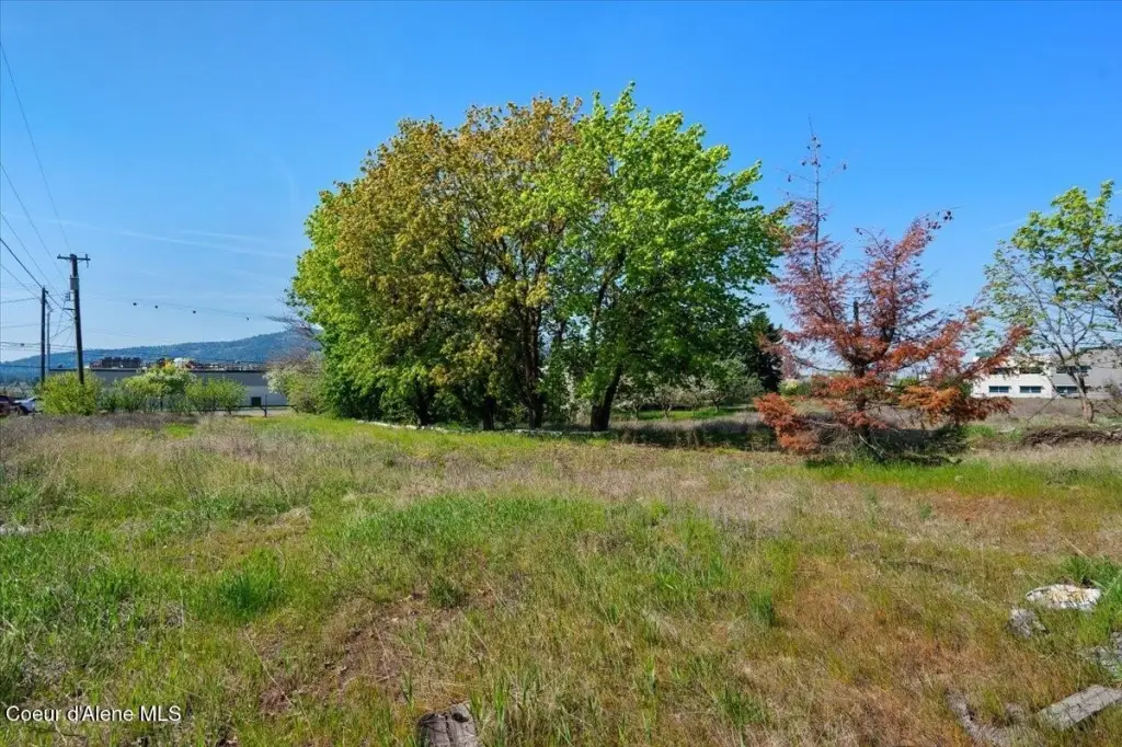 Picture 16