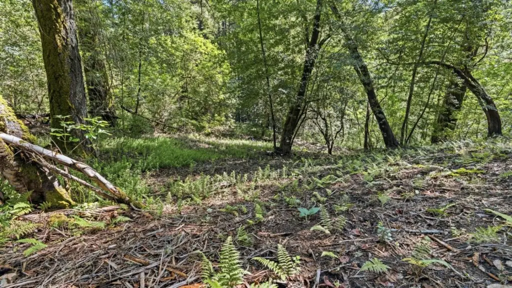 Picture 17