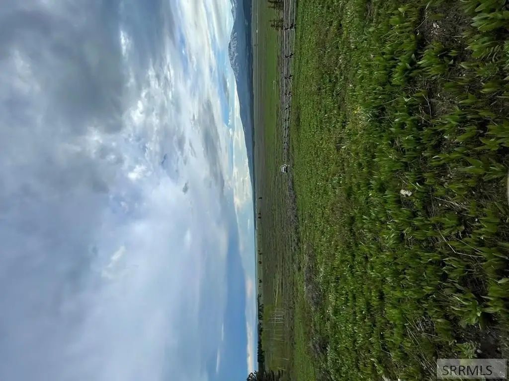 Picture 4