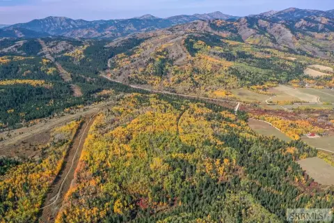 Land Bordering National Forest