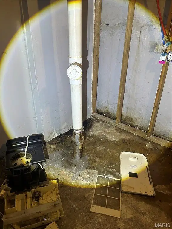 Picture 23