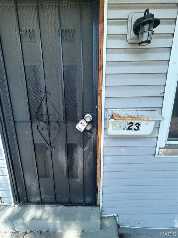 Picture 10
