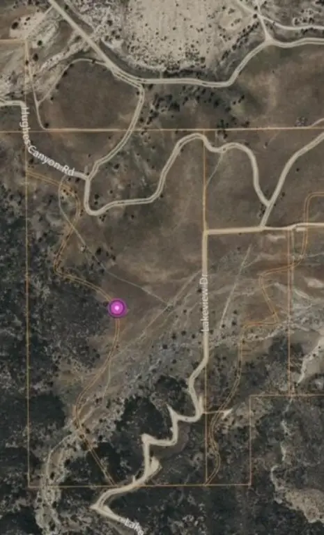 Picture 4