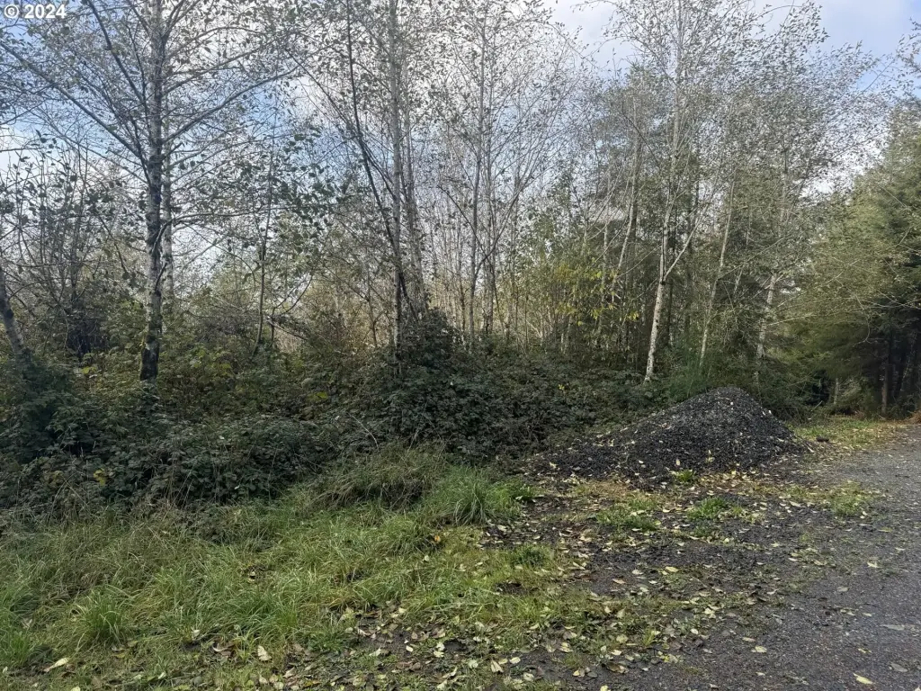 Picture 26