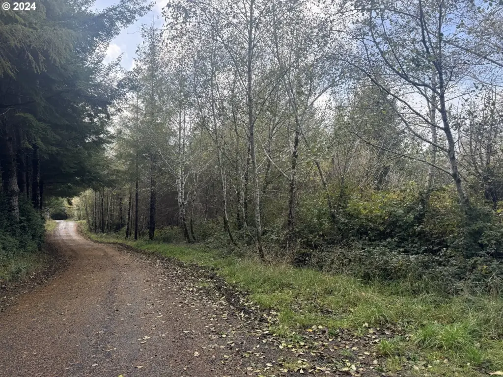Picture 27