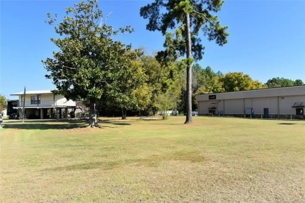 Picture 12