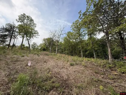 Cleared Land Near Lake Norfork