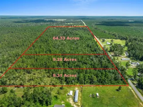 Expansive Wooded Acreage in Ragley