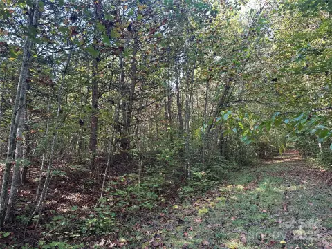 Unrestricted Wooded Acreage in Marion