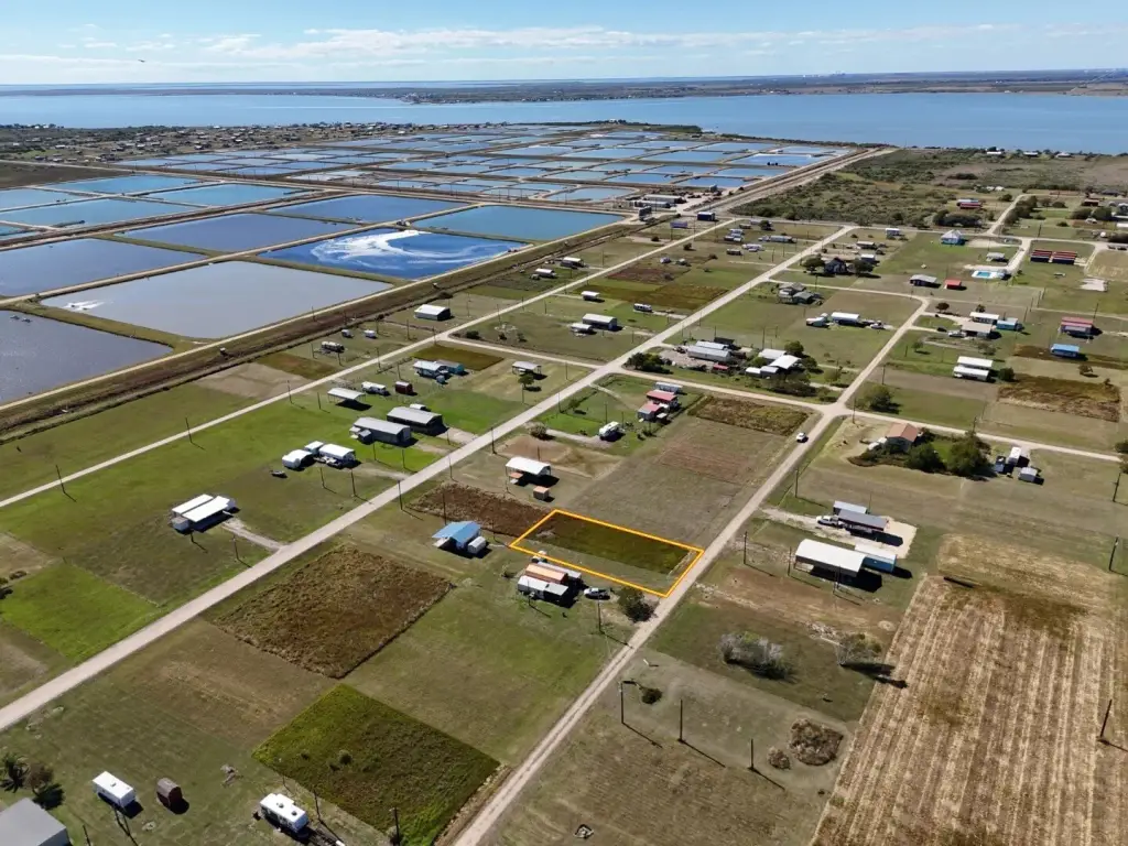 Picture 3