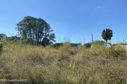 Vacant Lot in Palm Bay