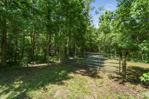 Colleton County Hunting Dream Property