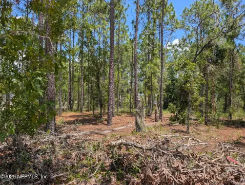 Keystone Heights Land For Sale