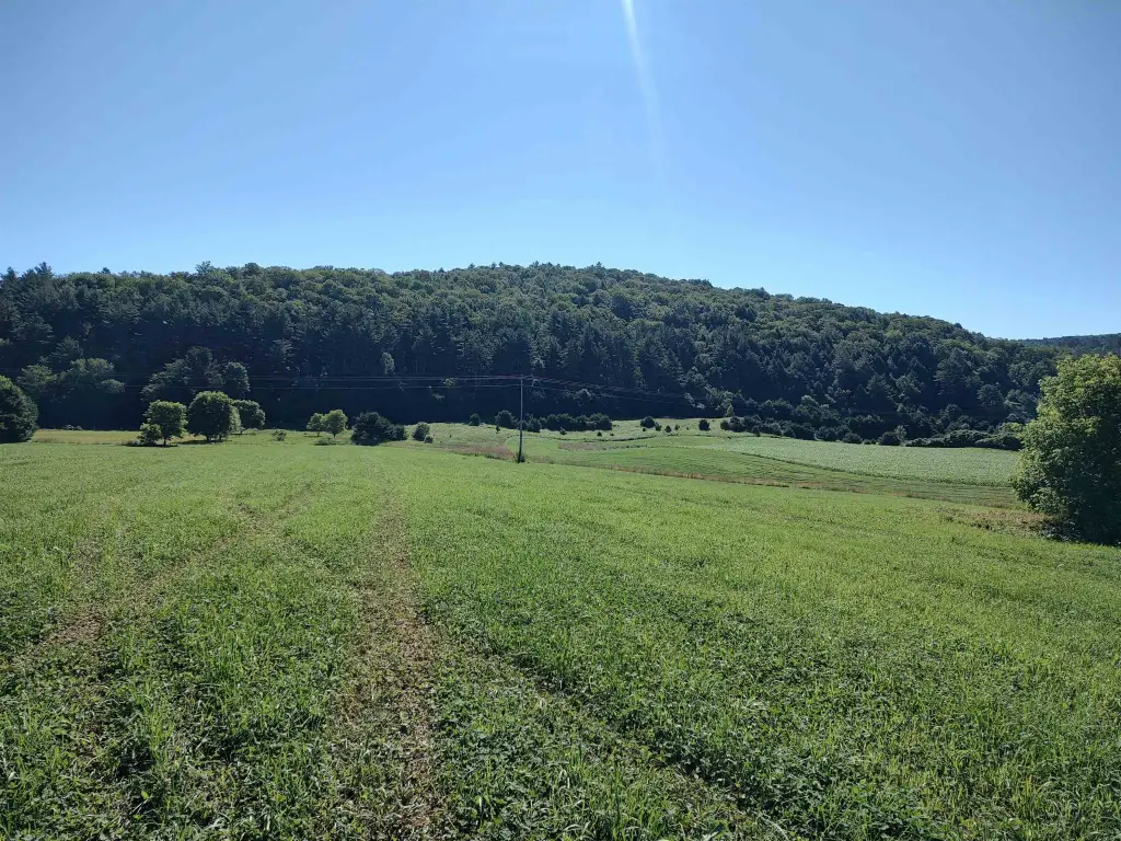 Picture 13
