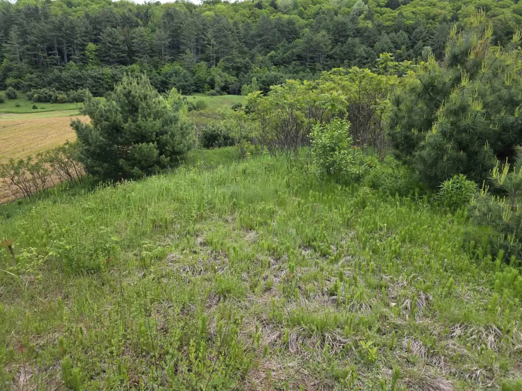 Picture 7