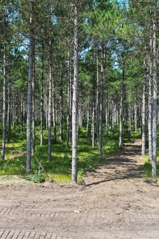 Picture 15