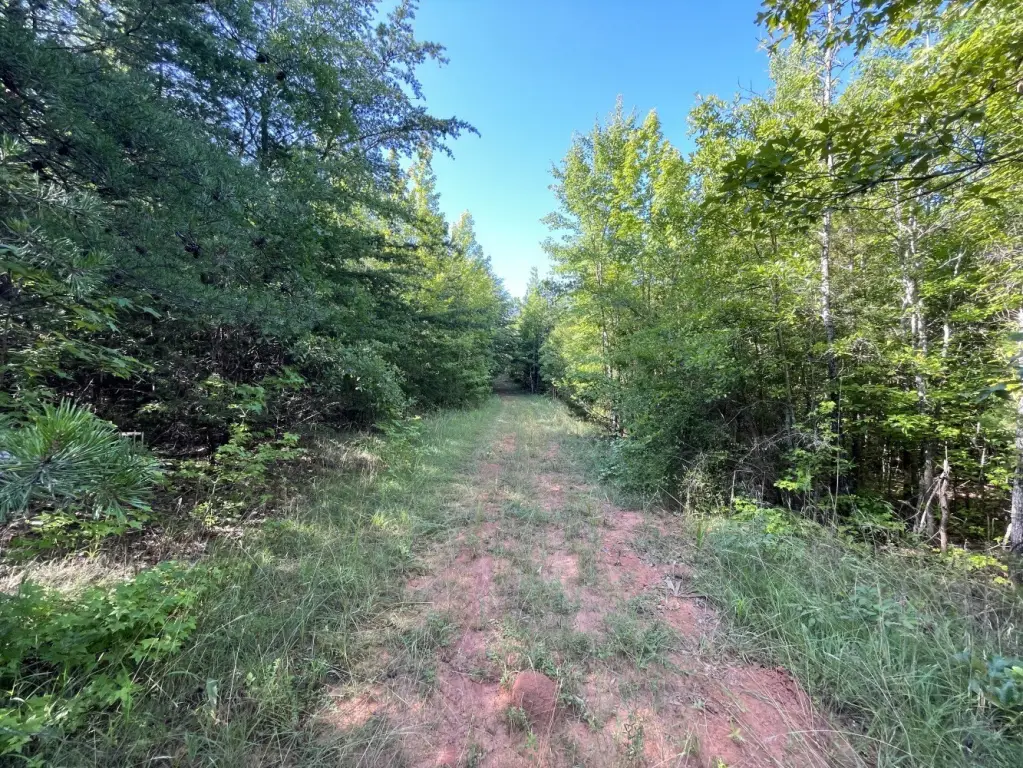 Picture 25