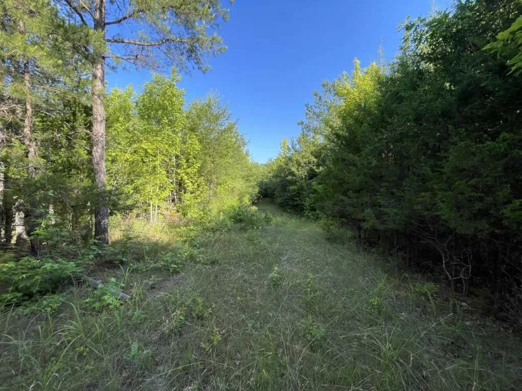 Picture 20