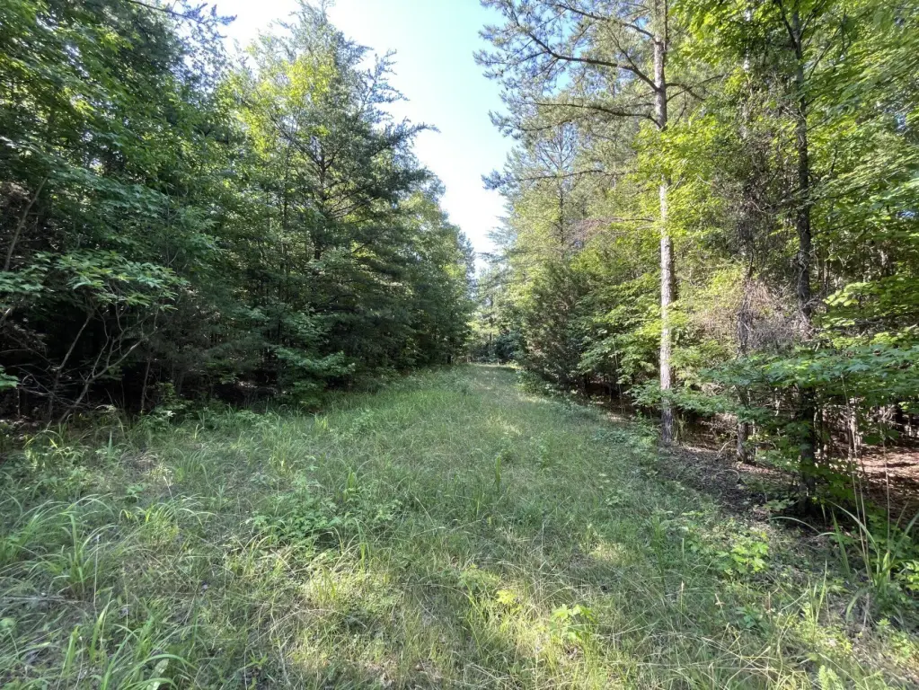 Picture 13