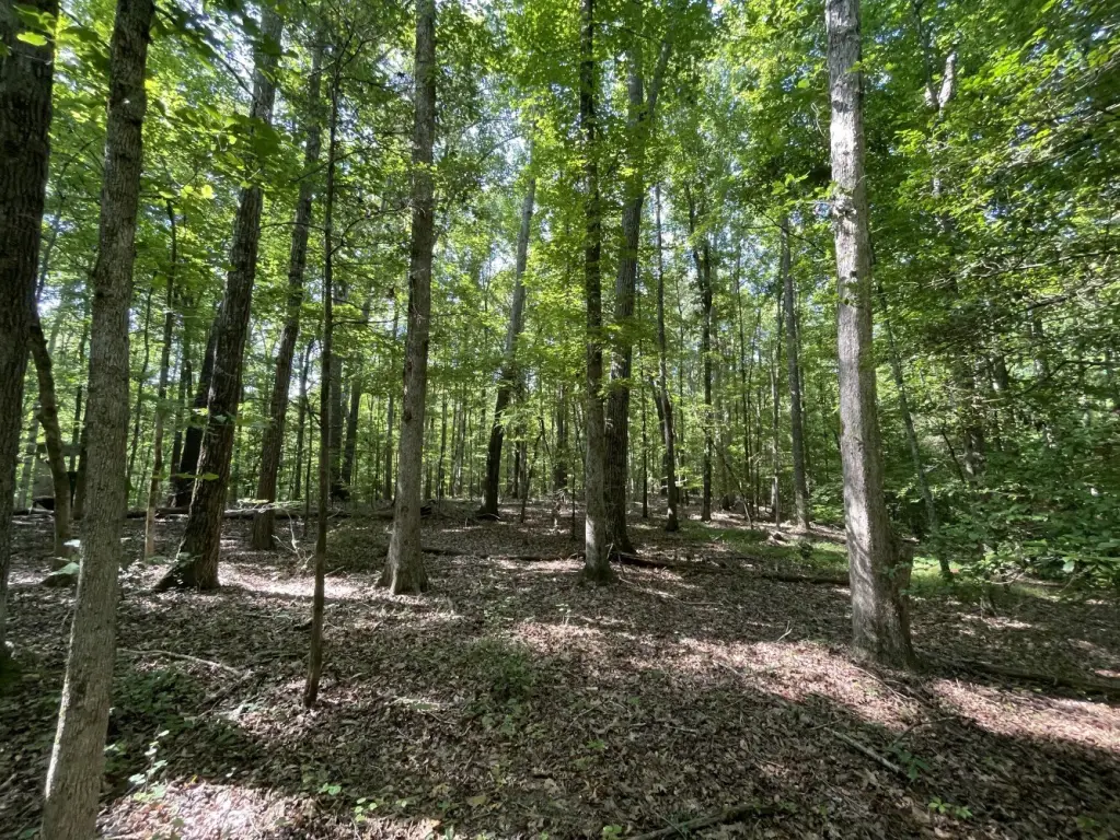 Picture 14