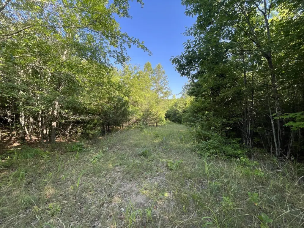 Picture 19