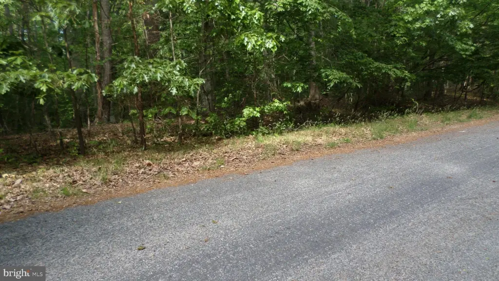Picture 2