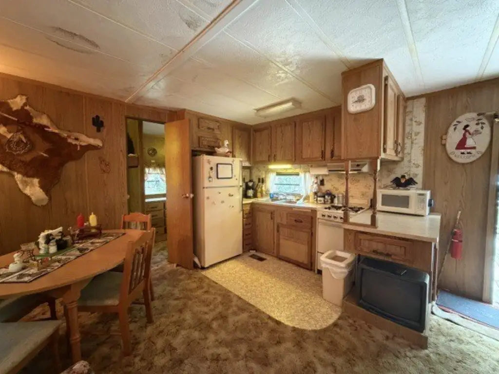 Picture 7