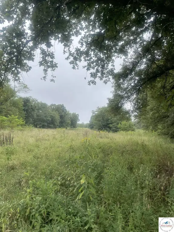 Picture 32