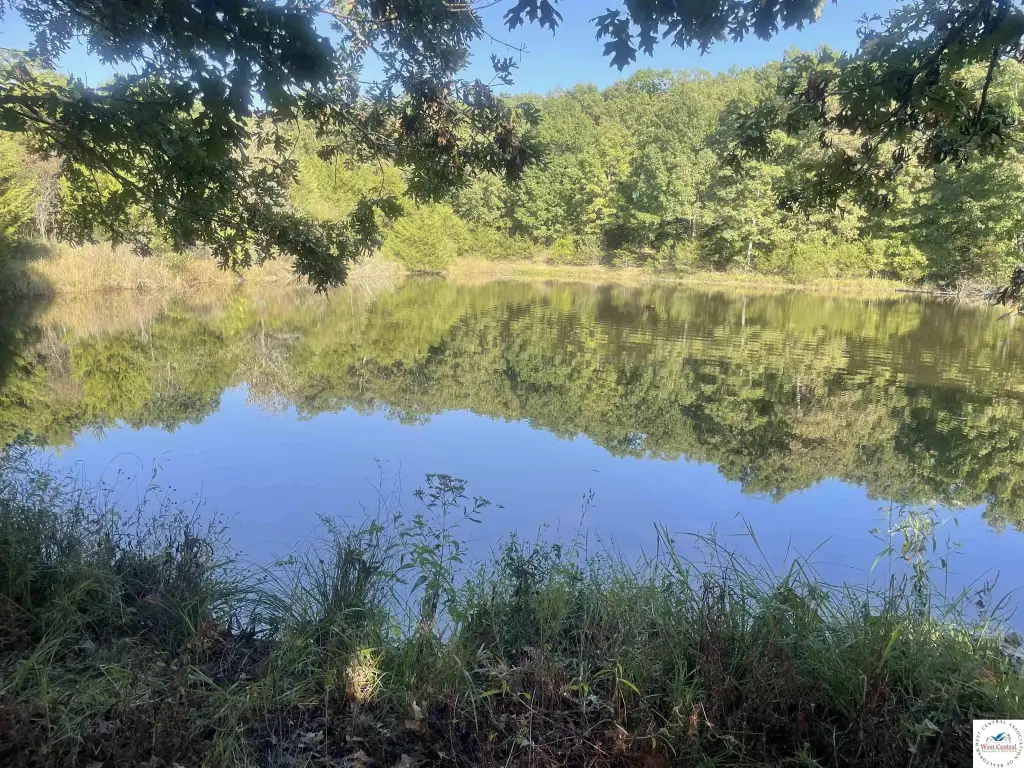 Picture 25