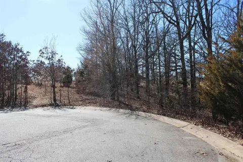 Residential Lot in Greystone Subdivision