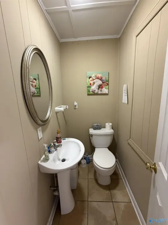 Picture 11