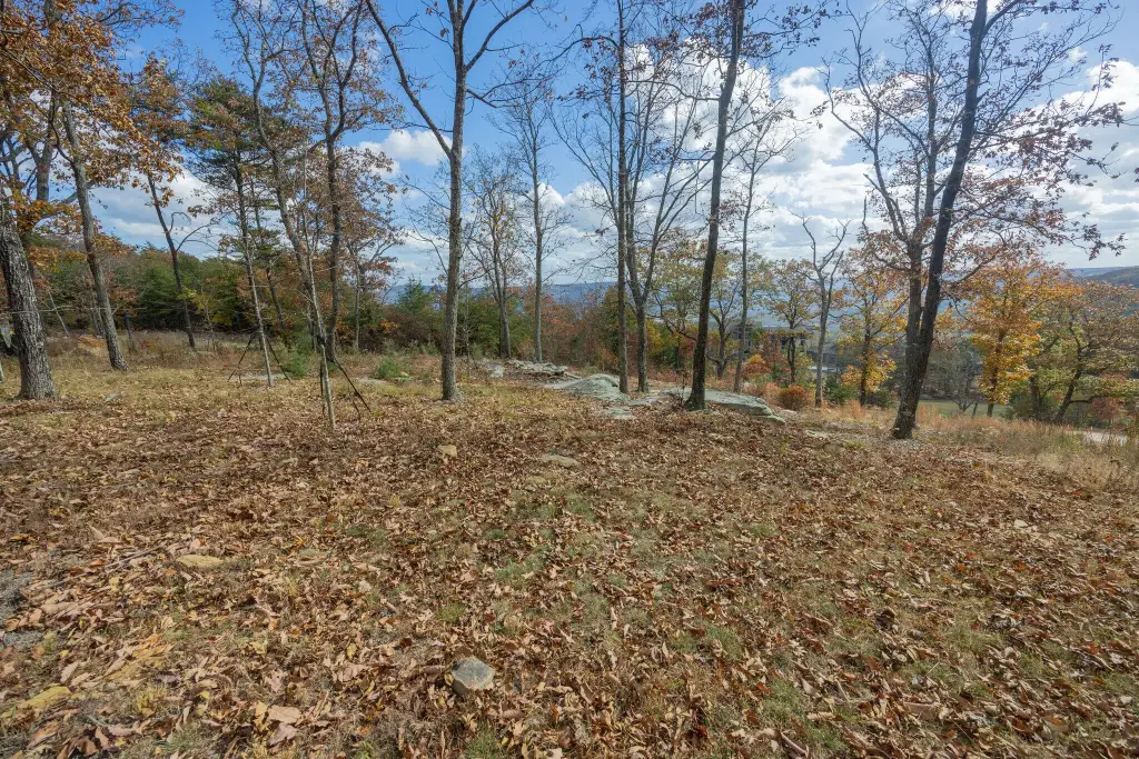 Picture 18