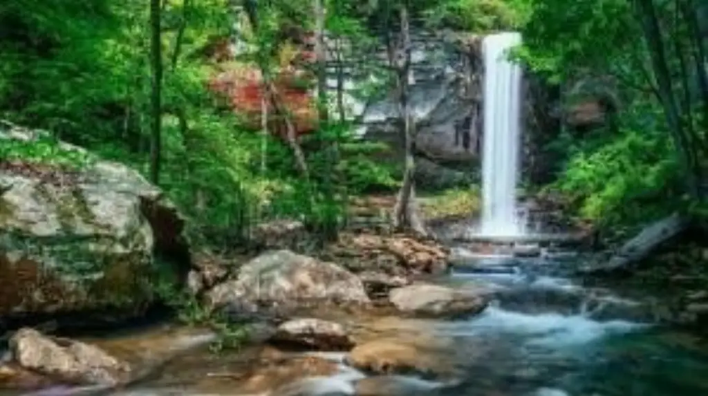Picture 4