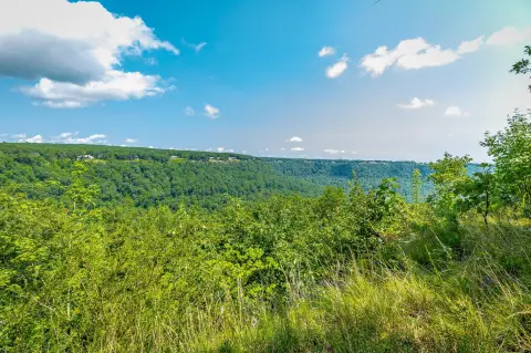 Wooded Bluff Residential Lot