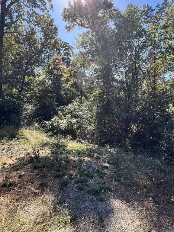 Picture 36