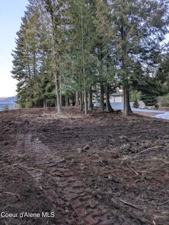 Picture 19