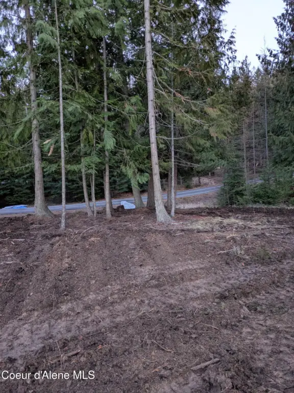 Picture 20