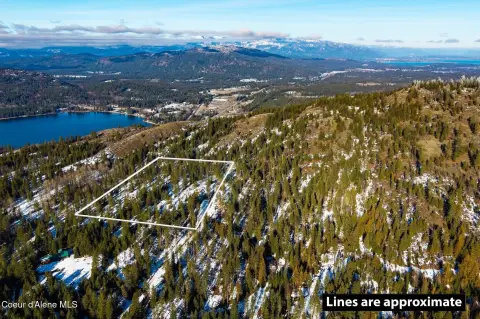 9.92 Acres Wooded Land Parcel